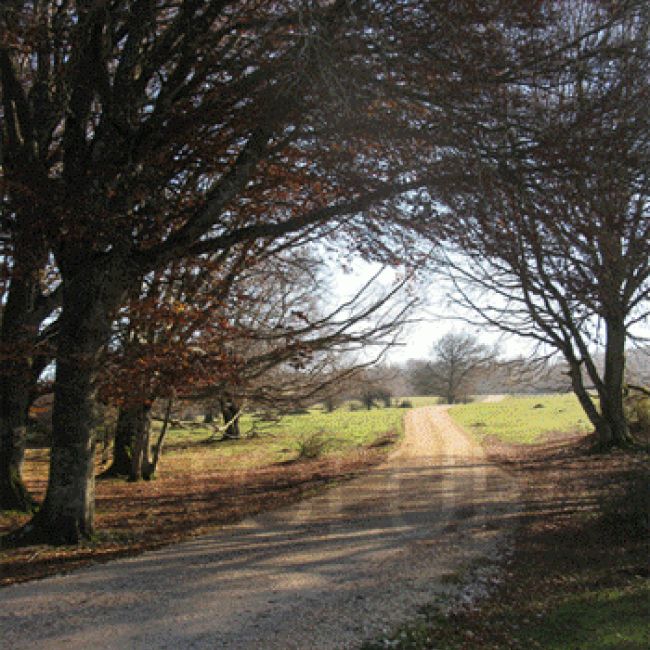 venta fotografias artisticas autor alcorta vizcaya